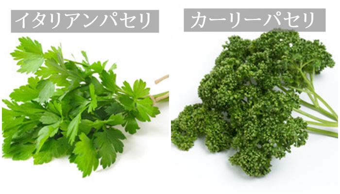 野菜というより薬草 パセリの栄養がすごい 効果的な食べ方は 食の安全ノート