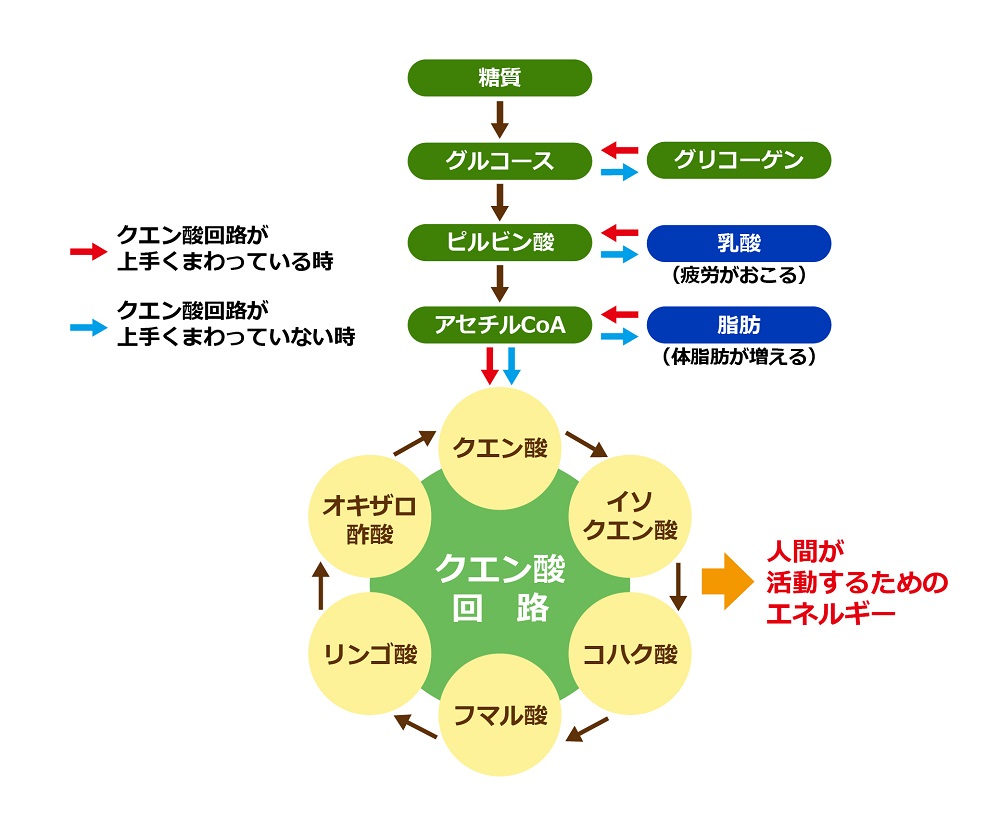 やっぱり凄い！お酢の健康効果【安全で美味しいお酢の選び方3つのポイント】 | 食の安全ノート