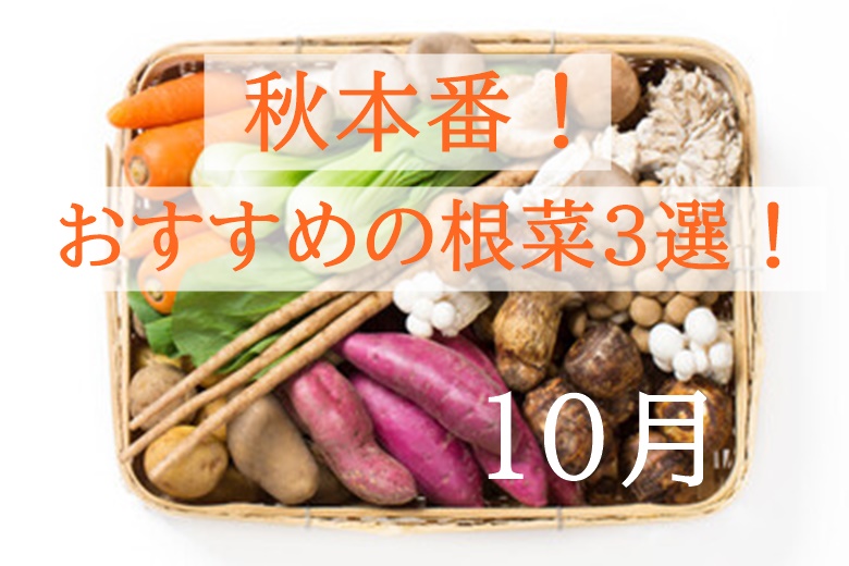 10月が旬の野菜 秋本番 栄養満点で美味しい根菜おすすめ3選 食の安全ノート